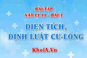 Bài tập Điện tích, Định luật Cu-lông: Giải bài tập 1, 2, 3, 4, 5, 6, 7, 8 trang 9, 10 SGK Vật lí 11 bài 1